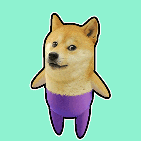 If You Know You Know Shiba Inu GIF