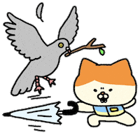 Cat Pigeon Sticker by LINE FRIENDS