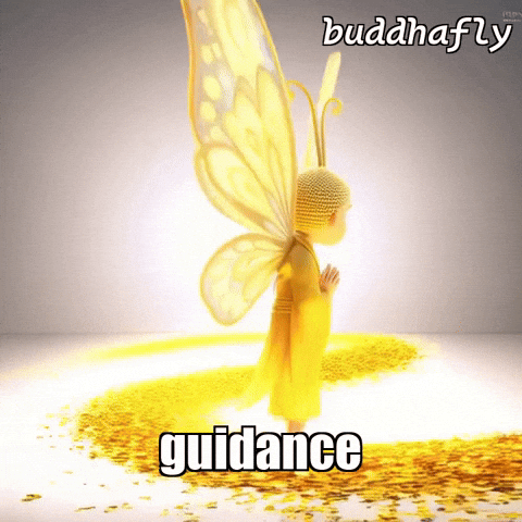 Light GIF by BuddhaFlyJourney