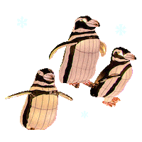 Night Holiday Sticker by Bronx Zoo