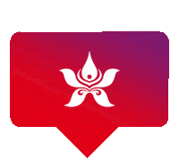 Hong Kong Wherehkbegins Sticker by Hong Kong Airlines