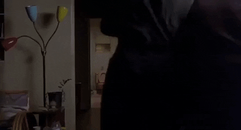 werner_the_ferret giphygifmaker toilet big lebowski GIF