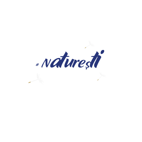 AlmetteRO giphyupload instagram nature diy Sticker