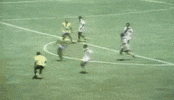 pele GIF