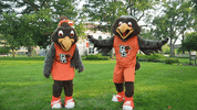 Bowling Green Fly GIF by Bowling Green State University