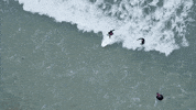 france car GIF by Red Bull Racing