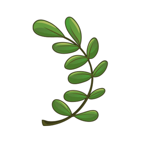 noahsvrkofficial olivo noahs vrk Sticker