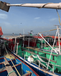 Kerala Azheekal GIF