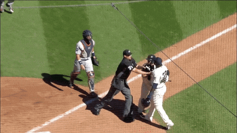 megrowler giphyupload GIF