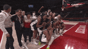 France Olympics GIF by Basketfem