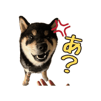 Angry Dog Sticker