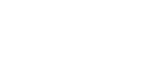 MacawBrasil agencia transparente macaw agencia de publicidade Sticker