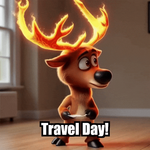 Travel Flight GIF by elkijahspark