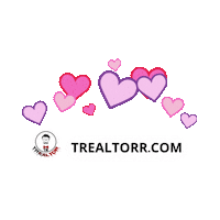 Happy Valentines Day Love Sticker Sticker by Trealtorr