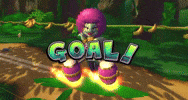 Donkey Kong Wii GIF