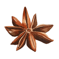 Star Anise Christmas Sticker