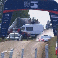 Motorsport Driving GIF by FIA World Rally Championship