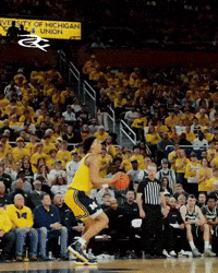 March Madness Michigan GIF by Respective