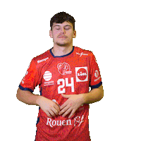 Sport Handball Sticker