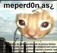 Note Perdono GIF