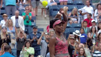 usopen sports tennis us open venus GIF