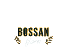 Christmas Новый Год Sticker by Bossan concept