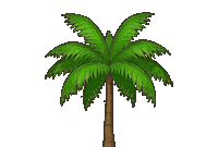 bokkyn south palm tree palma dalmacija Sticker