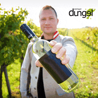 GIF by Weingut Dungel