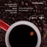GIF by Festuris Gramado