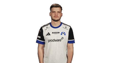 Hamburger Sv What Sticker by Bundesliga