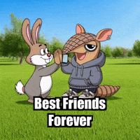 Happy Best Friends Forever GIF by Chillo Dillo