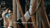 Jodie Whittaker O GIF by Doctor Who