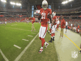 Green Bay Packers Cardinals GIF by NFL