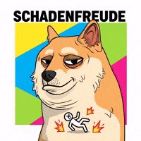 Judging Shiba Inu GIF by Doge Pound