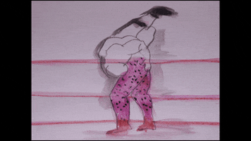 samgurry wrestling wwf steve austin stone cold GIF