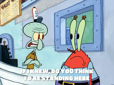 season 5 GIF by SpongeBob SquarePants