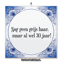 Wijsheid Spreuk Sticker by Tegelspreuken.nl