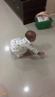 Adorable Baby Plays Ball Game With Golden Retriever