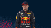 Ver Red Bull GIF by Red Bull Racing Honda