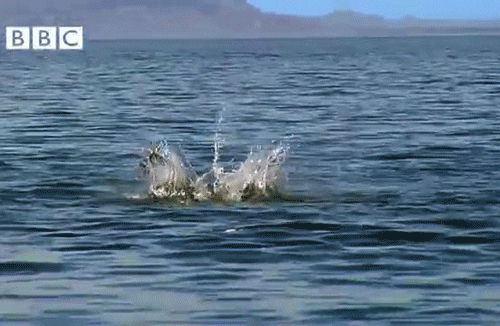 jumping GIF