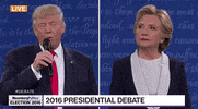 GIF by Alex Bedder