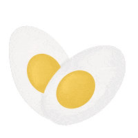 htmelen egg eggs ovo laudiceiasnutri Sticker