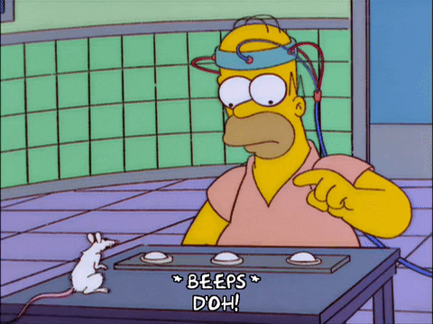 homer simpson GIF
