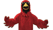 calverthallcollege cardinals hall cardinal calvert Sticker