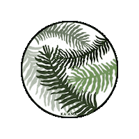 Palmen Auferstehung Sticker by Ka'anaIT
