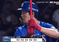야구 GIF