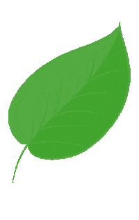 therawberry green minimal plant fresh Sticker