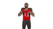 National Football League Love Sticker by Tampa Bay Buccaneers