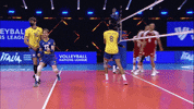 Celebration Yes GIF by Volleyball World