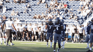 NevadaWolfPack football nevada wolf pack unr GIF